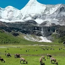 稻城亚丁风景区 - 甘孜藏族自治州旅游 缩略图 8