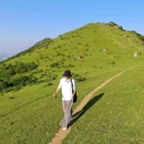 福建梁野山自然保护区 - 龙岩市旅游 缩略图 5