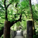 槽下村 - 萍乡市旅游 缩略图 2