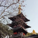 苏州平江历史街区 - 苏州市旅游 缩略图 4