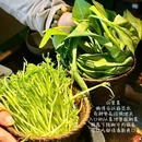 西安万象天地 - 西安市旅游 缩略图 4