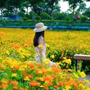 西樵山西门牌坊 - 佛山市旅游 缩略图 3