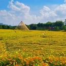 西樵山西门牌坊 - 佛山市旅游 缩略图 4
