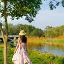 西樵山西门牌坊 - 佛山市旅游 缩略图 2