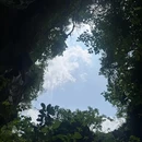 龙湾乡中心小学 - 河池市旅游 缩略图 6