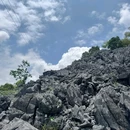 龙湾乡中心小学 - 河池市旅游 缩略图 8