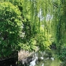 南浔古镇景区 - 湖州市旅游 缩略图 9
