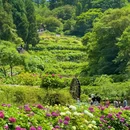 长田溪花田 - 福州市旅游 缩略图 2