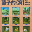 坪山益田假日世界 - 深圳市旅游 缩略图 1