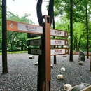 安隐寺遗址公园 - 杭州市旅游 缩略图 8
