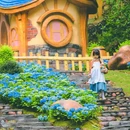 皇龙峡生态旅游区(3A) - 长沙市旅游 缩略图 5