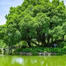 中山公园 - 佛山市旅游 缩略图 3