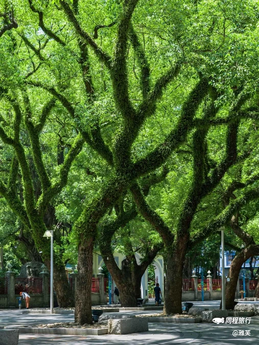 中山公园 - 佛山市旅游