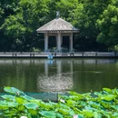 中山公园 - 佛山市旅游 缩略图 9