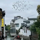 龙湖苏州狮山天街 - 苏州市旅游 缩略图 5