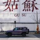 龙湖苏州狮山天街 - 苏州市旅游 缩略图 7