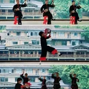 明仕田园风景区 - 崇左市旅游 缩略图 9