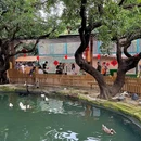 窝窝萌宠森友会·亲子·情侣互动(世界之窗店) - 深圳市旅游 缩略图 6