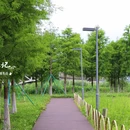 生态走廊公园二期 - 宁波市旅游 缩略图 3
