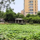 古祠公园 - 宁波市旅游 缩略图 5