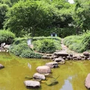 古祠公园 - 宁波市旅游 缩略图 3