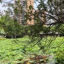 古祠公园 - 宁波市旅游 缩略图 6