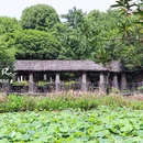 古祠公园 - 宁波市旅游 缩略图 7