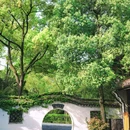 鲁镇 - 绍兴市旅游 缩略图 2