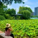 月湖公园 - 长沙市旅游 缩略图 1