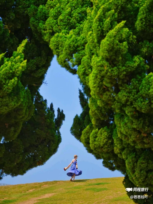 小麦岛公园 - 青岛市旅游