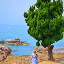 小麦岛公园 - 青岛市旅游 缩略图 6