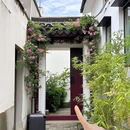 苏州姑苏小院·平江里(平江路店) - 苏州市旅游 缩略图 2