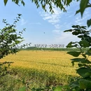 黄尖镇潮间带艺术村 - 盐城市旅游 缩略图 7