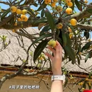 黄尖镇潮间带艺术村 - 盐城市旅游 缩略图 6