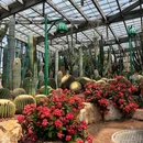 南昌珍奇植物园 - 南昌市旅游 缩略图 2