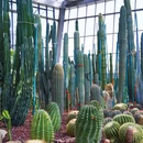 南昌珍奇植物园 - 南昌市旅游 缩略图 1