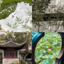 寒山寺 - 苏州市旅游 缩略图 2