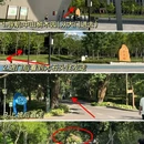 中山市树木园 - 中山市旅游 缩略图 4
