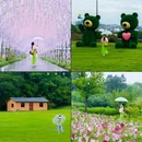 东山村 - 九江市旅游 缩略图 9
