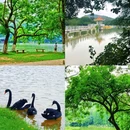 大夫山森林公园 - 广州市旅游 缩略图 6