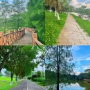 大夫山森林公园 - 广州市旅游 缩略图 7