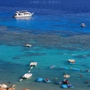 埃及 - 海外旅游 缩略图 4