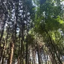贵州六盘水盘州市柏果镇黄老坝 - 六盘水市旅游 缩略图 3