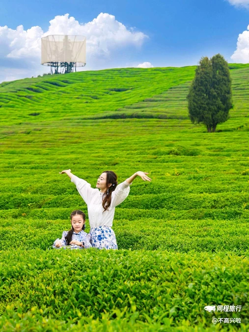 寒溪村景艺民宿(狮子园店) - 景德镇市旅游