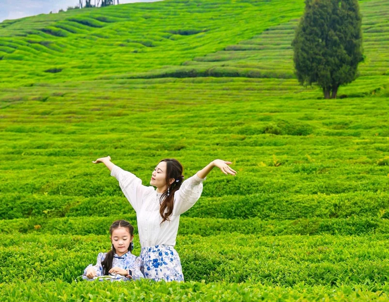 寒溪村景艺民宿(狮子园店) - 景德镇市旅游 1