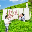 寒溪村景艺民宿(狮子园店) - 景德镇市旅游 缩略图 7
