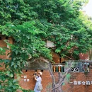 潭洲木趣森林公园 - 佛山市旅游 缩略图 5