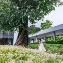 罗勇府 - 泰国旅游 缩略图 1