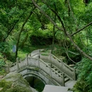 九龙源风景区 - 宁波市旅游 缩略图 1