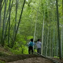 九龙源风景区 - 宁波市旅游 缩略图 4